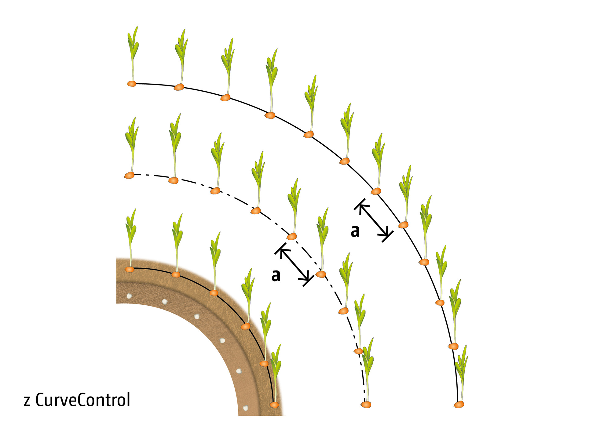Z CurveControl – Precyzyjne dozowanie nawozu nawet podczas pokonywania łuków (© AMAZONE: Grafik_mit_CurveControl_d1_250617_GO_pl.jpg) Punktgenaue Düngerabgabe auch bei der Kurvenfahrt