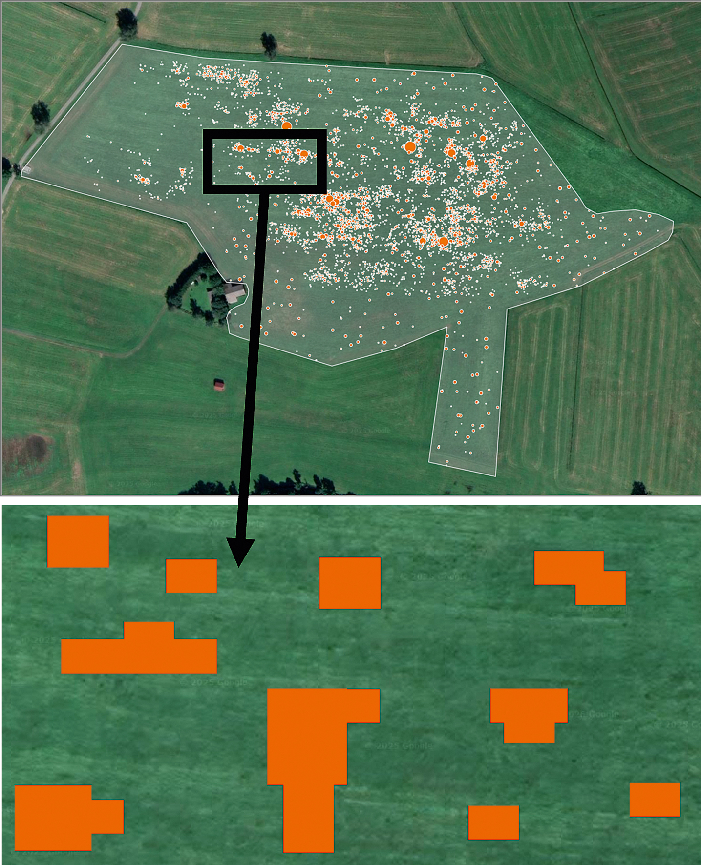 Agronomiczna optymalizacja mapy dla opryskiwacza na opartej na chmurze platformie danych AmaConnect. (© AMAZONE: Spotoptimierung_d1_250818_B_GO.jpg)