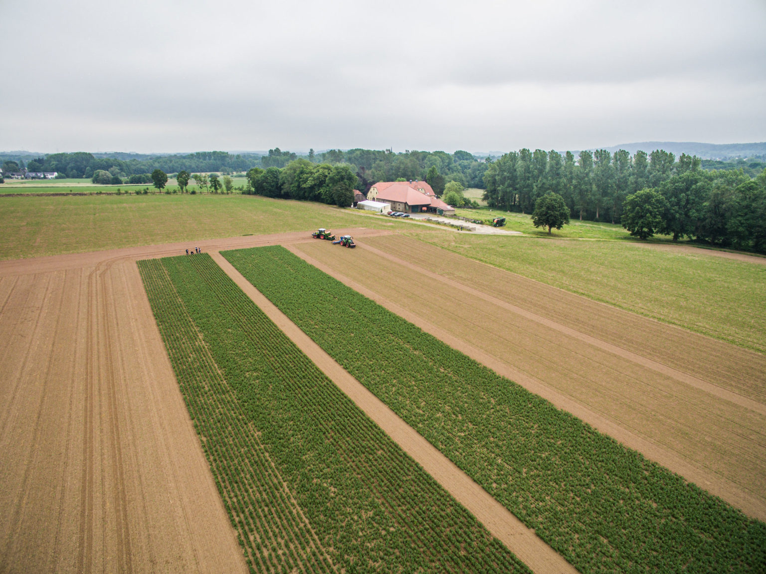 Feldversuche_Wambergen_Kiefer_d0_jm_DJI_0013-1536x1151