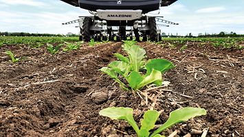 Bild_08_Suedzucker_amazone_Farmdroid_Zuckerruebe_d1_210930_GO