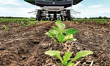 Bild_08_Suedzucker_amazone_Farmdroid_Zuckerruebe_d1_210930_GO