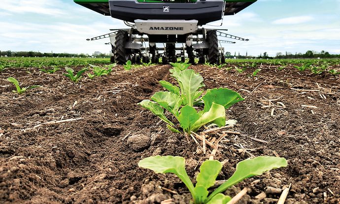 Bild_08_Suedzucker_amazone_Farmdroid_Zuckerruebe_d1_210930_GO