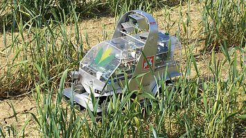 Maizerati_001_d1_070816_GO