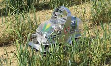 Maizerati_001_d1_070816_GO
