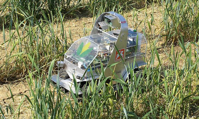 Maizerati_001_d1_070816_GO