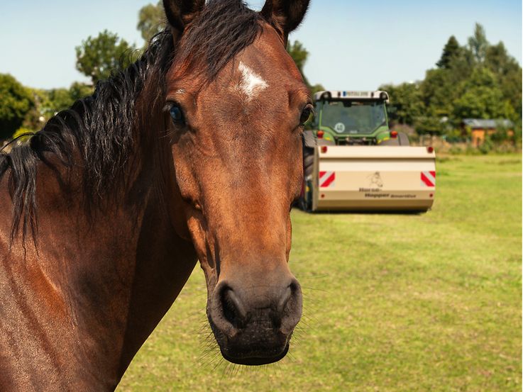 HorseHopper (3) Horsehopper_Weidemanagement_d0_kw_3348_d1_190314