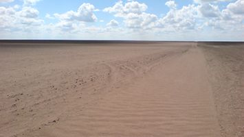 Kulunda00